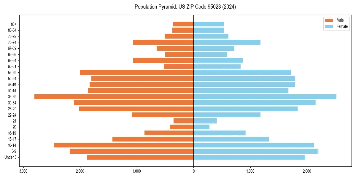 Population pyramid for 