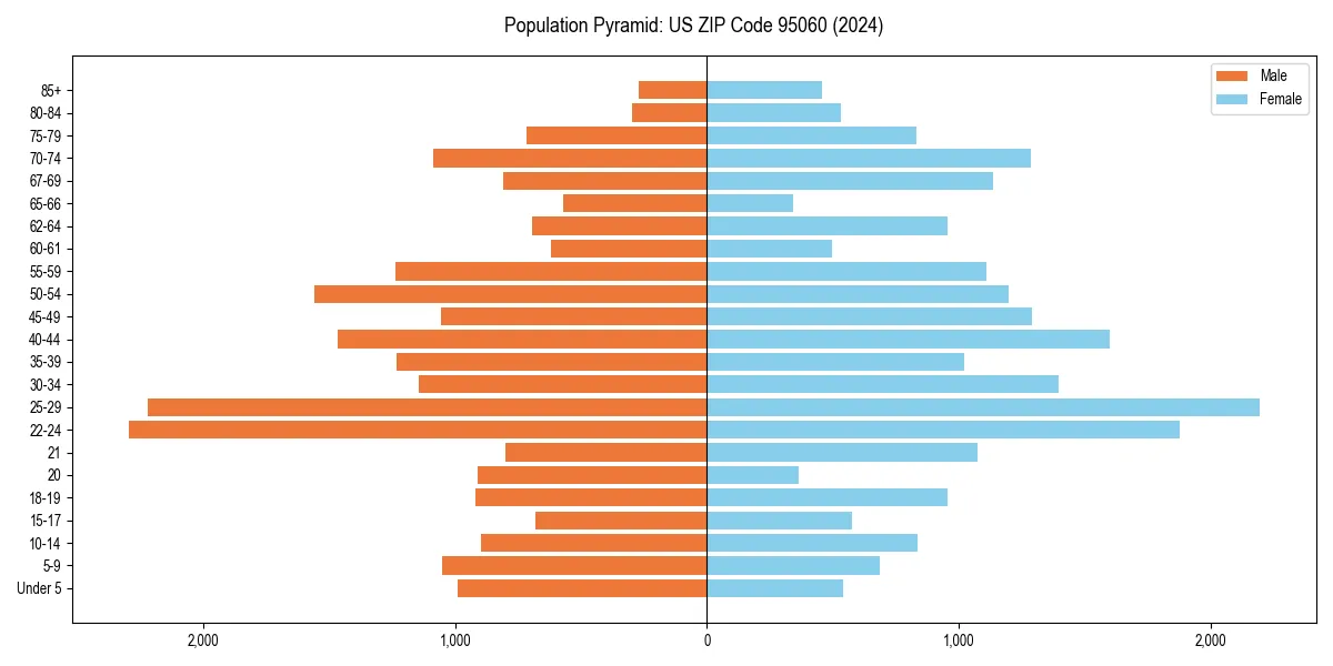 Population pyramid for 