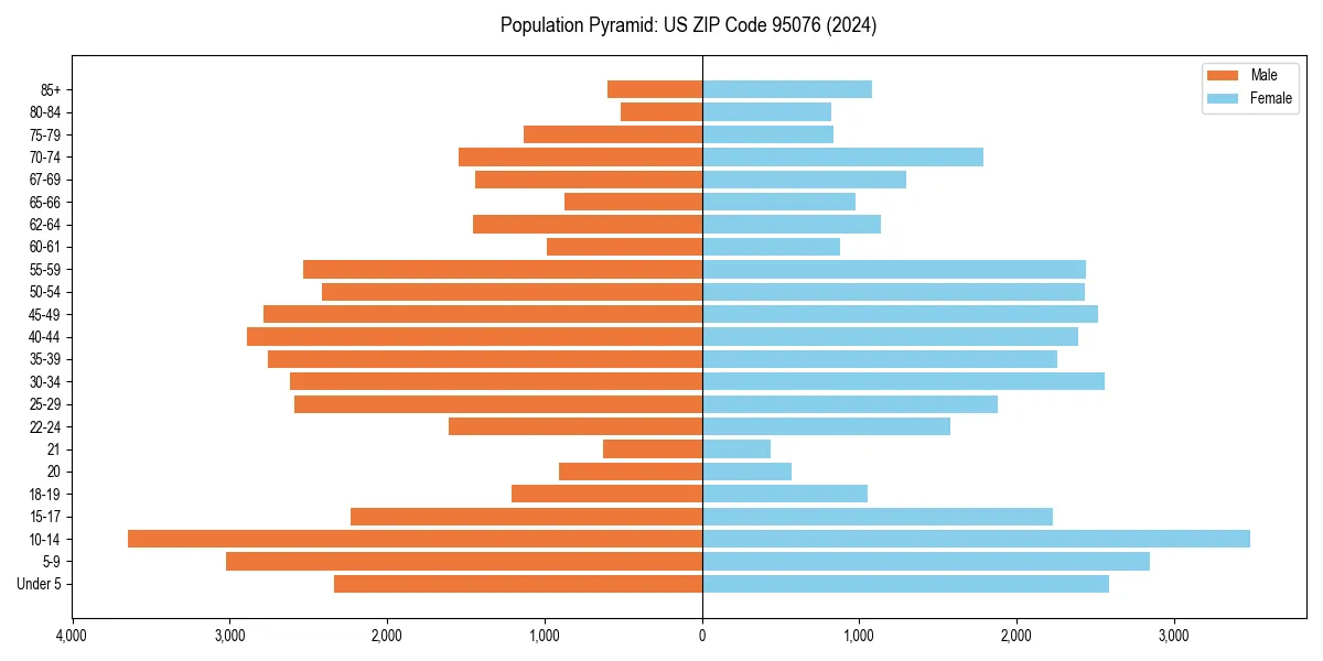 Population pyramid for 
