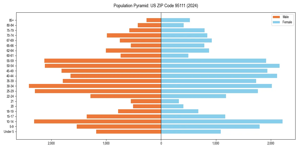 Population pyramid for 