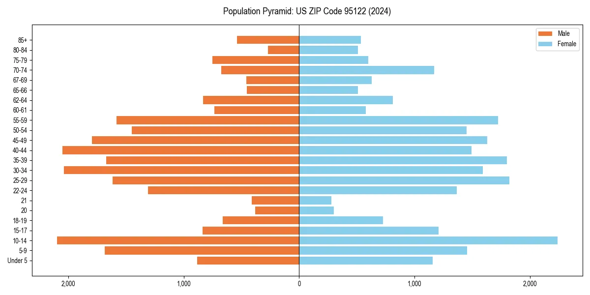 Population pyramid for 