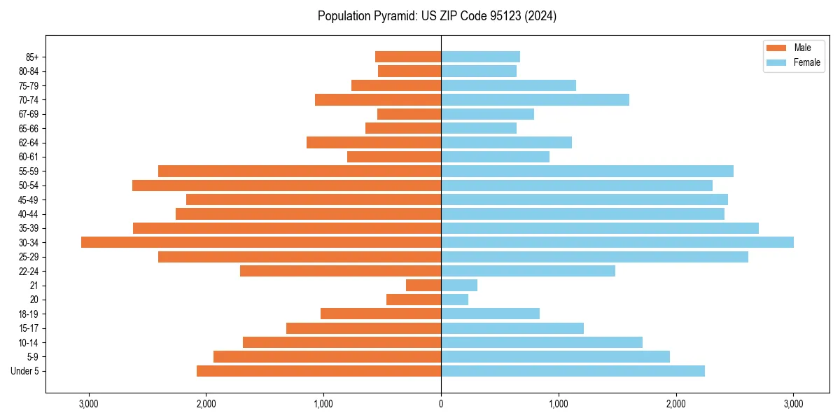 Population pyramid for 
