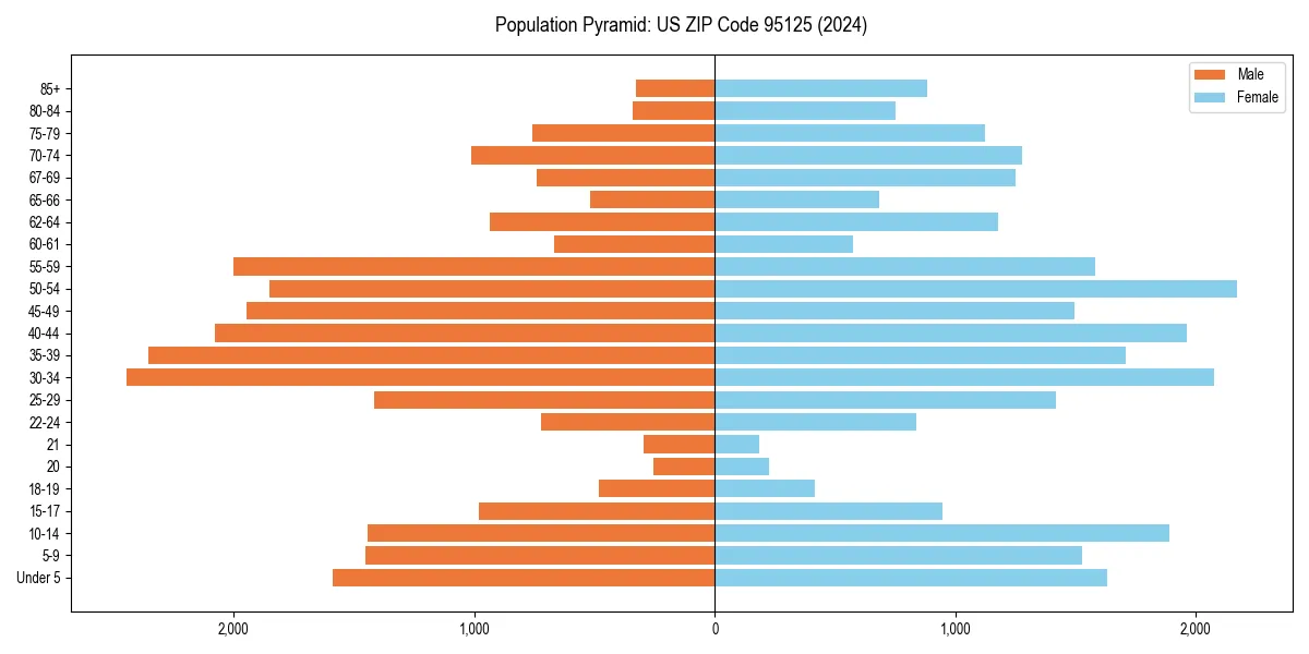 Population pyramid for 
