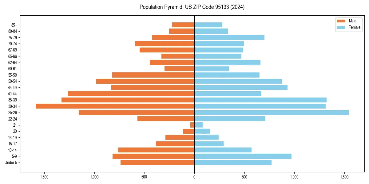 Population pyramid for 