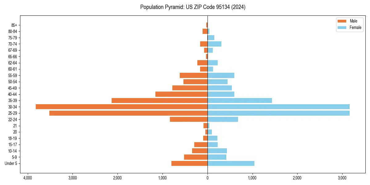 Population pyramid for 