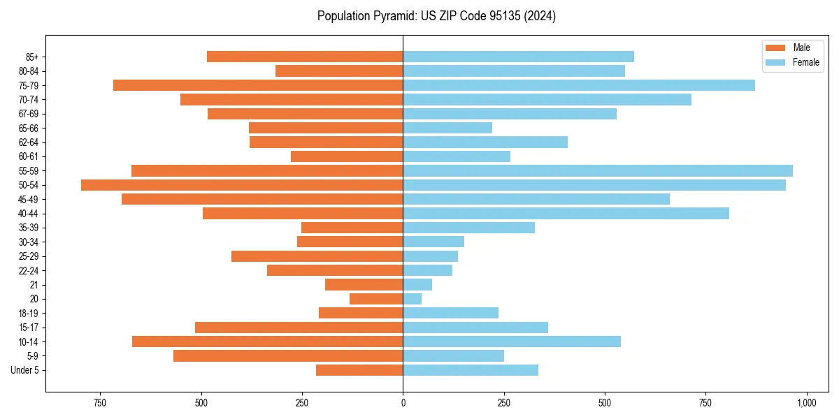 Population pyramid for 