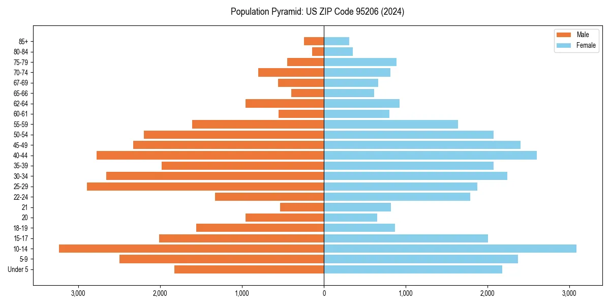Population pyramid for 