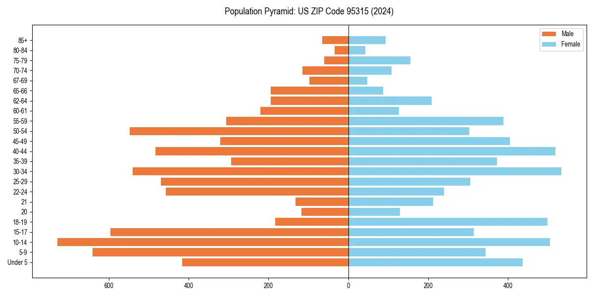 Population pyramid for 