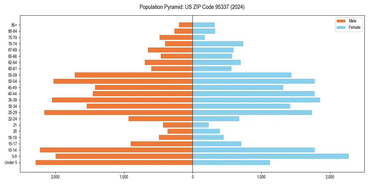 Population pyramid for 