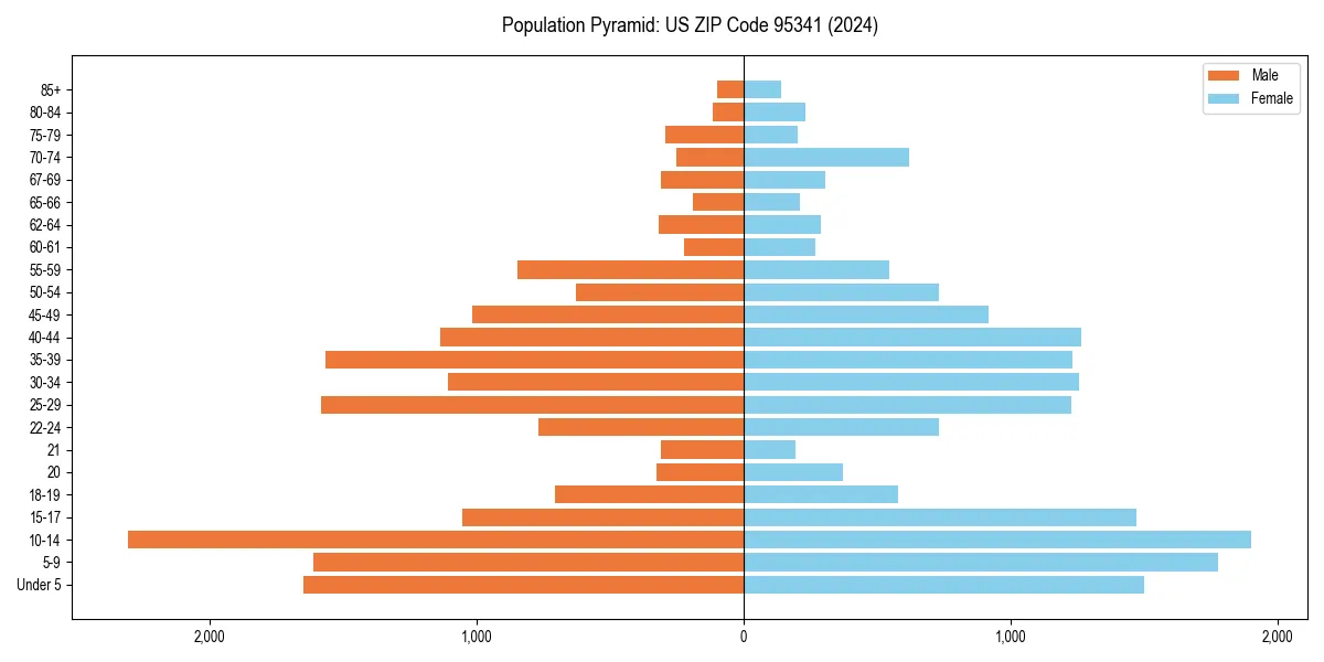 Population pyramid for 