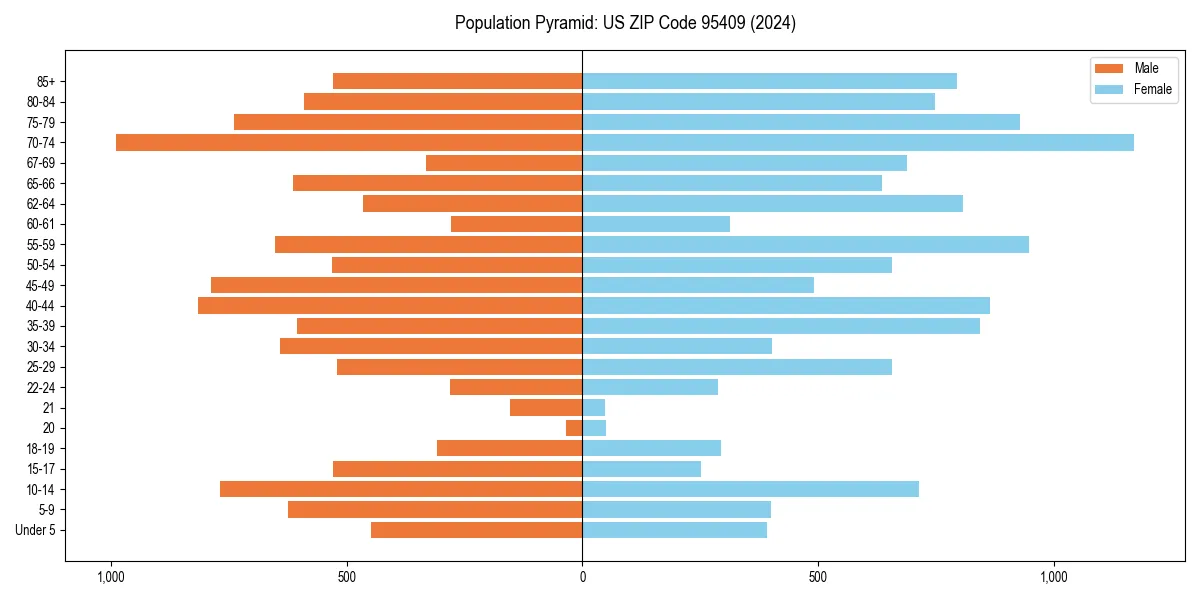 Population pyramid for 