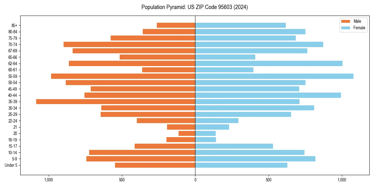 Population pyramid for 