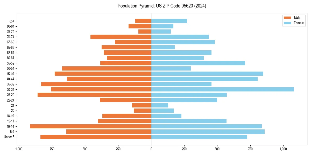 Population pyramid for 