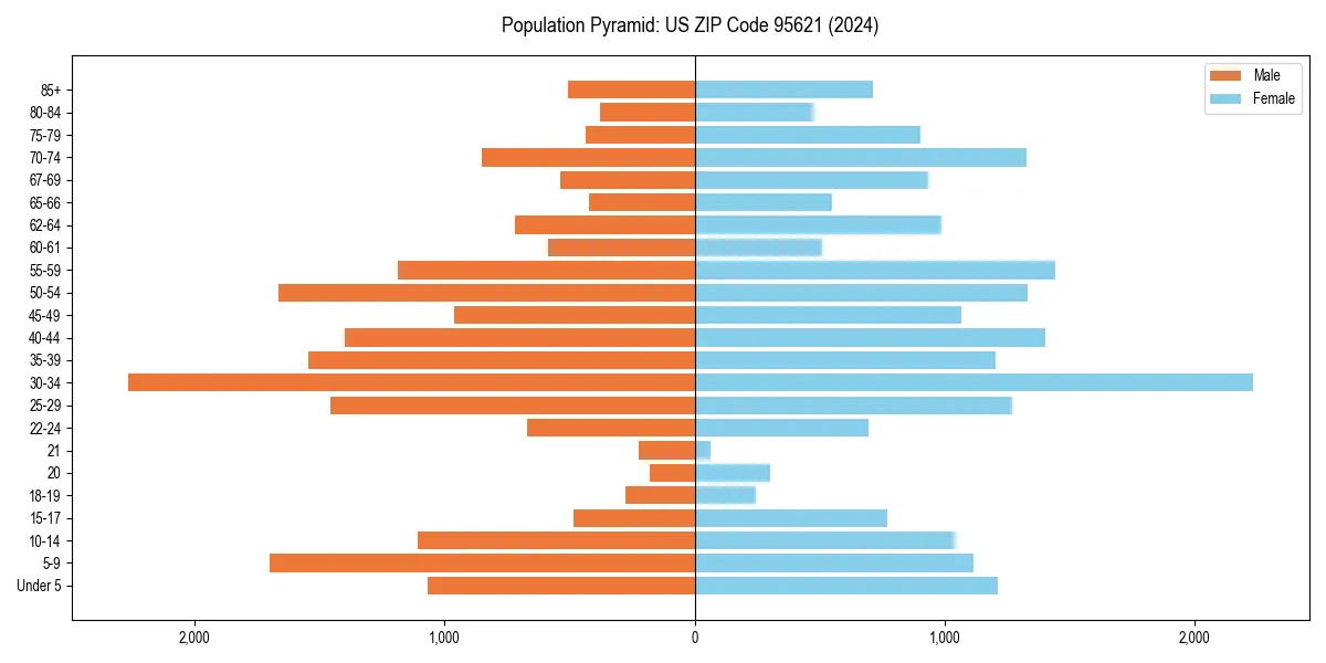 Population pyramid for 