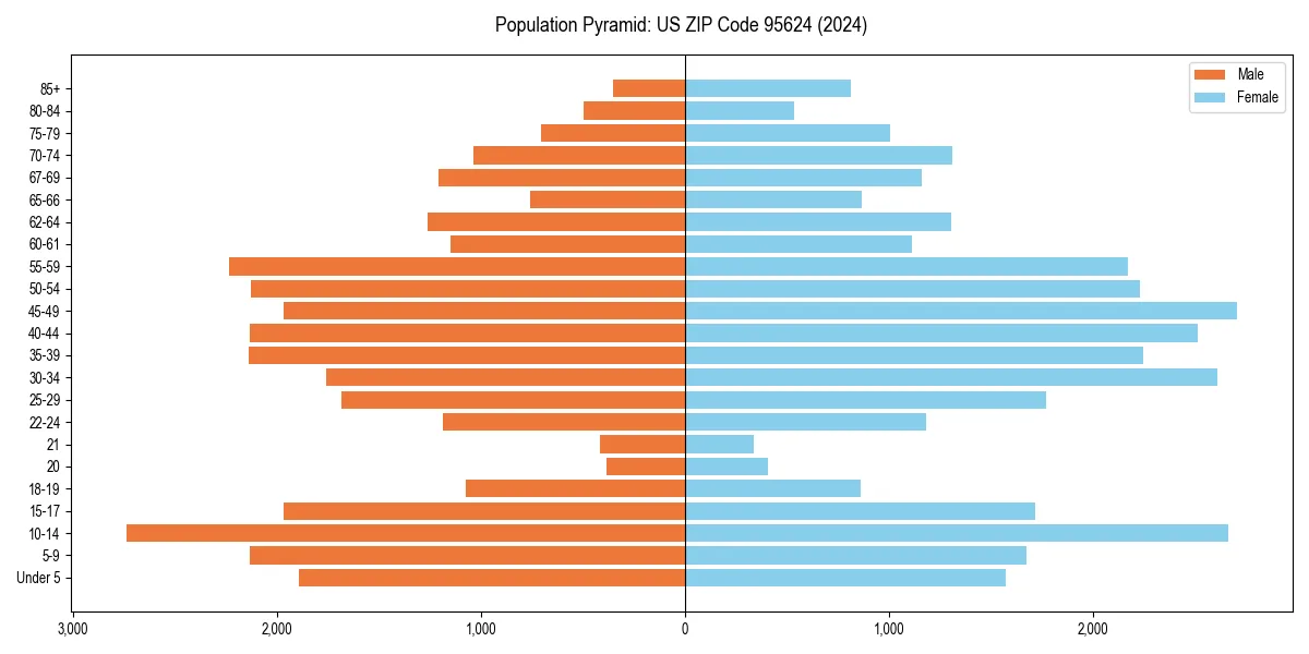 Population pyramid for 