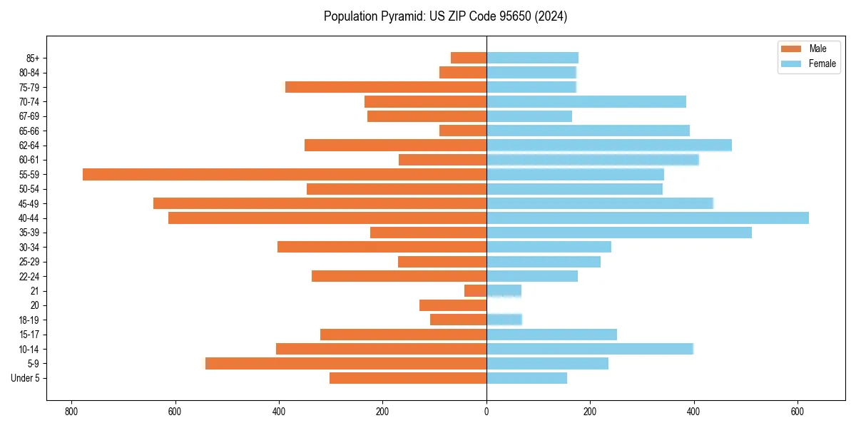 Population pyramid for 