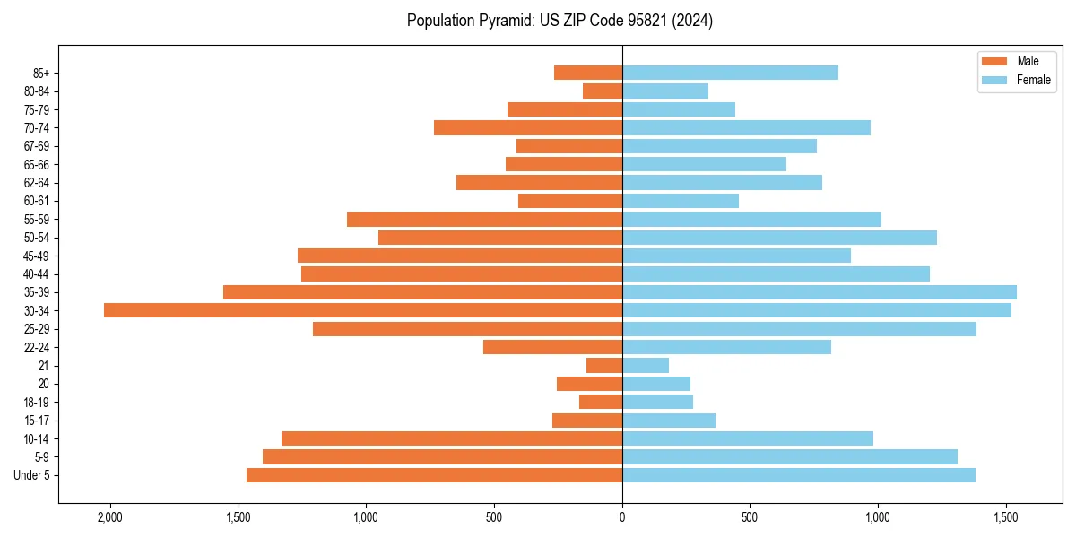 Population pyramid for 