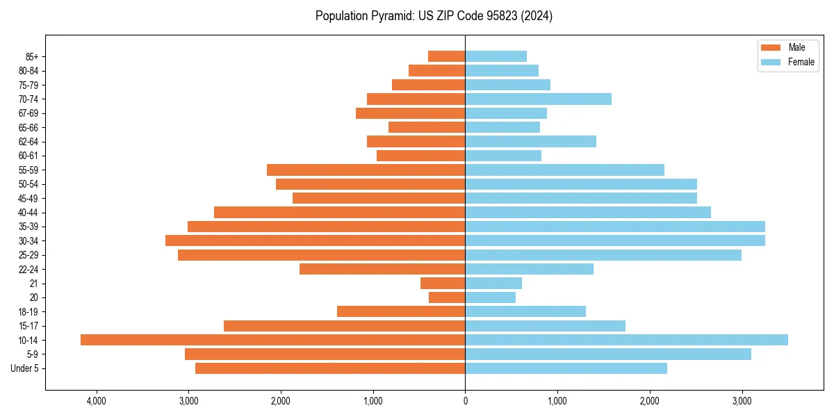 Population pyramid for 