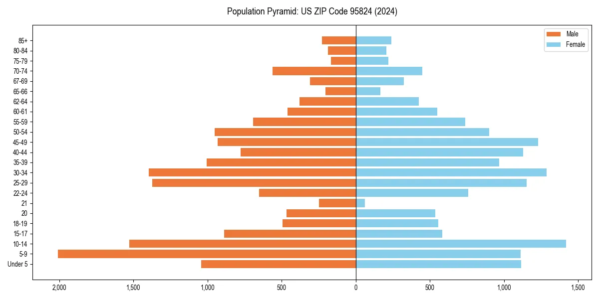 Population pyramid for 