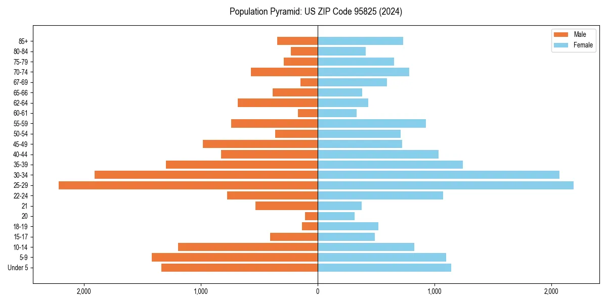 Population pyramid for 