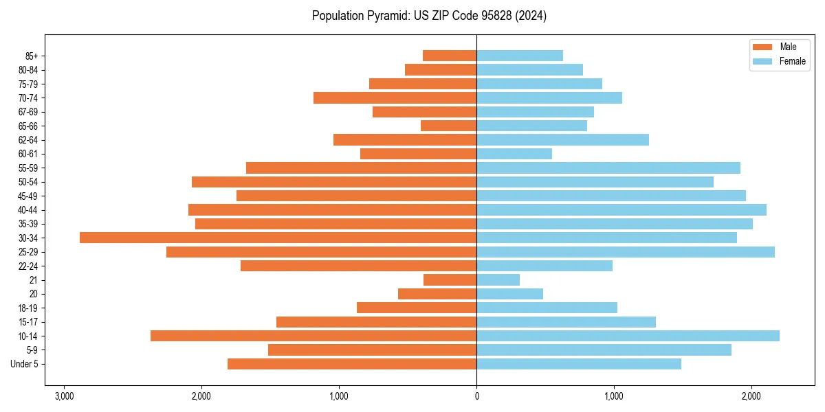 Population pyramid for 