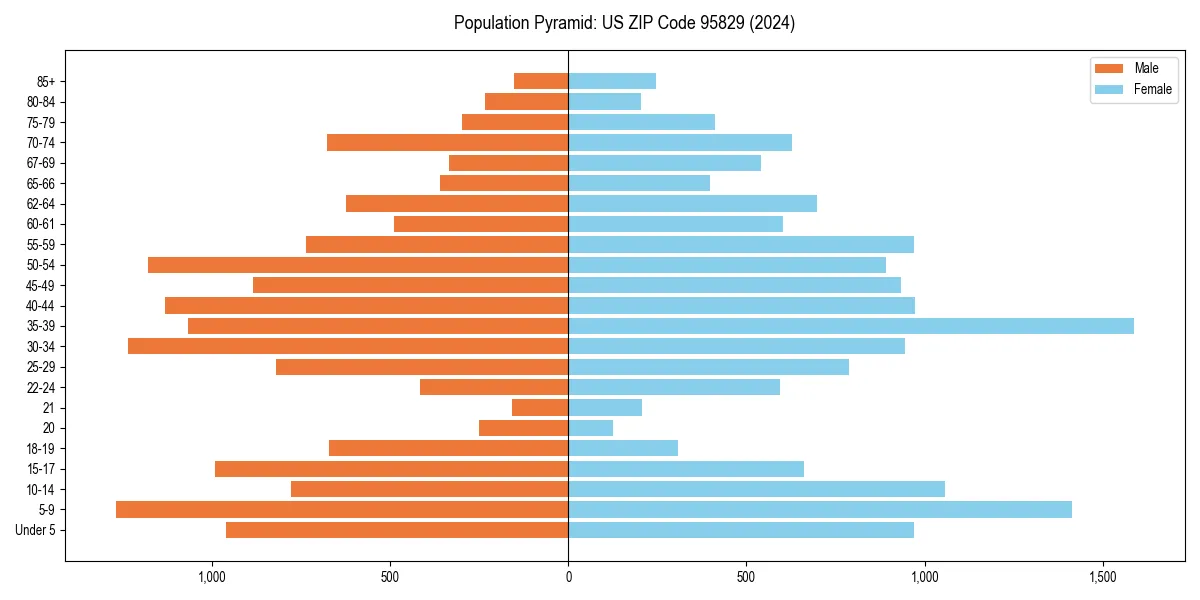 Population pyramid for 