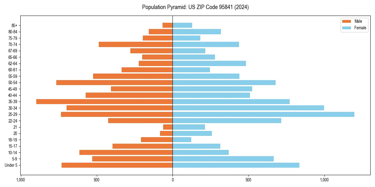Population pyramid for 
