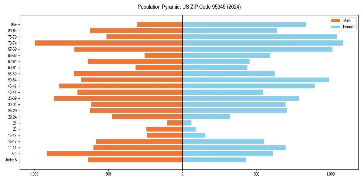 Population pyramid for 