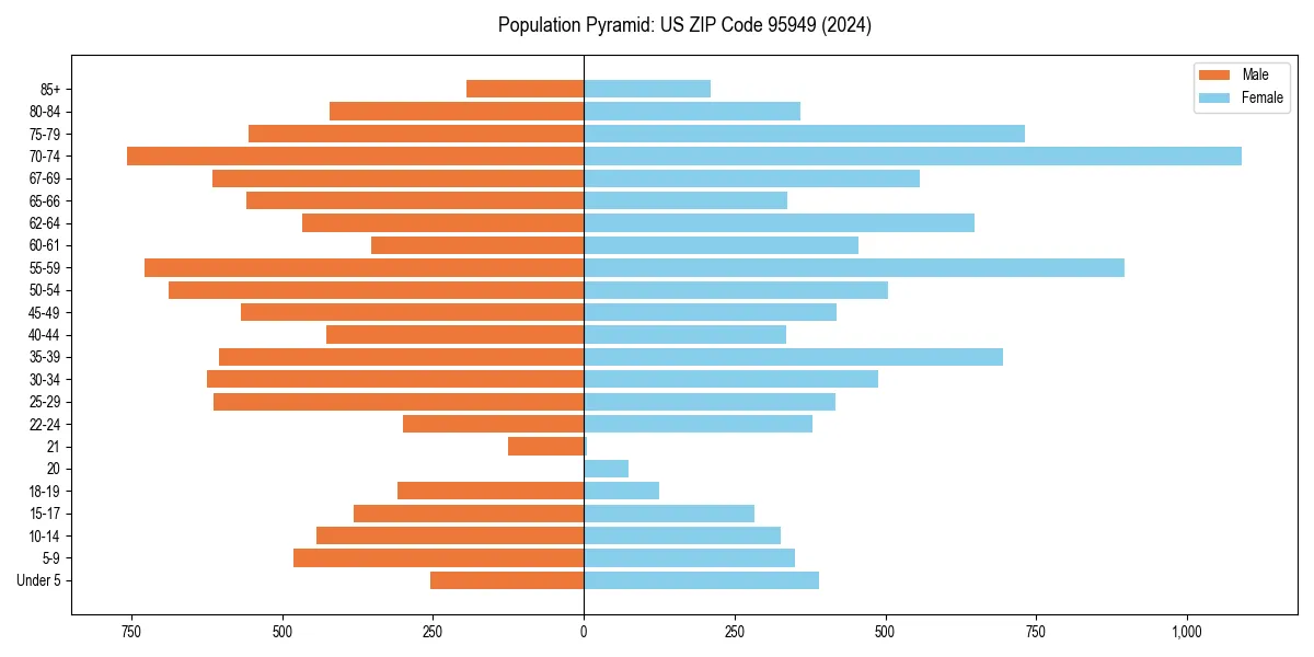 Population pyramid for 