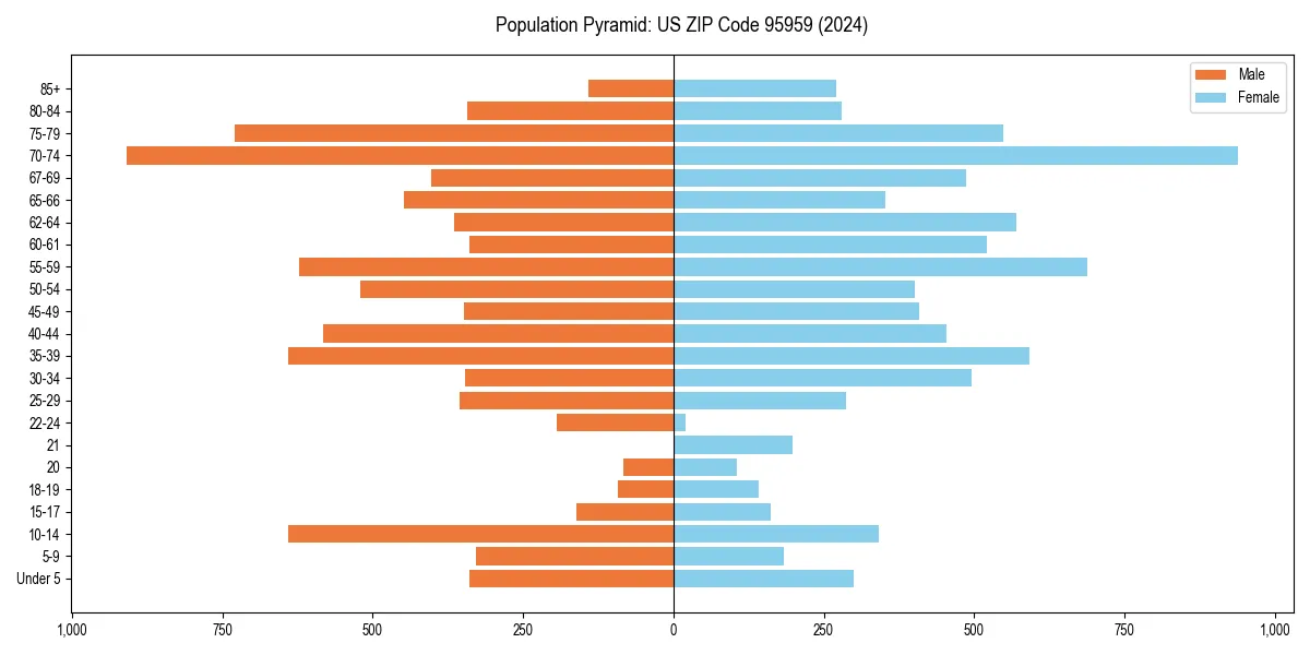 Population pyramid for 