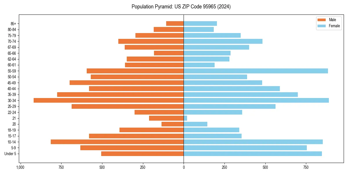 Population pyramid for 