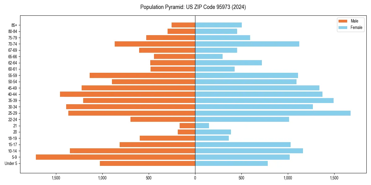 Population pyramid for 