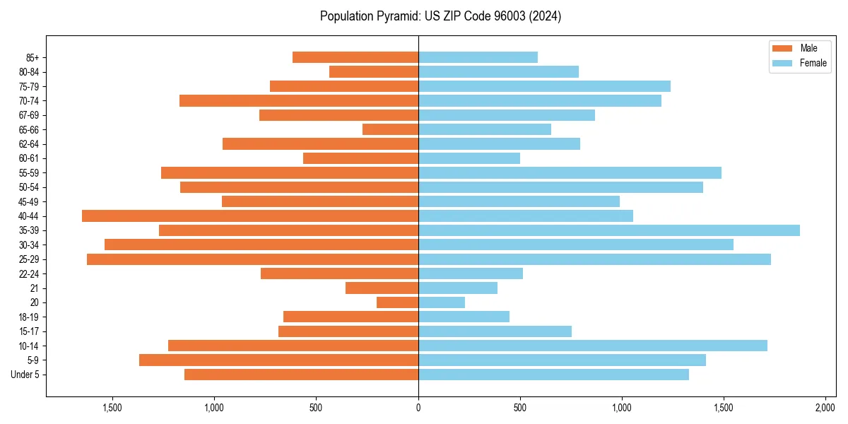Population pyramid for 