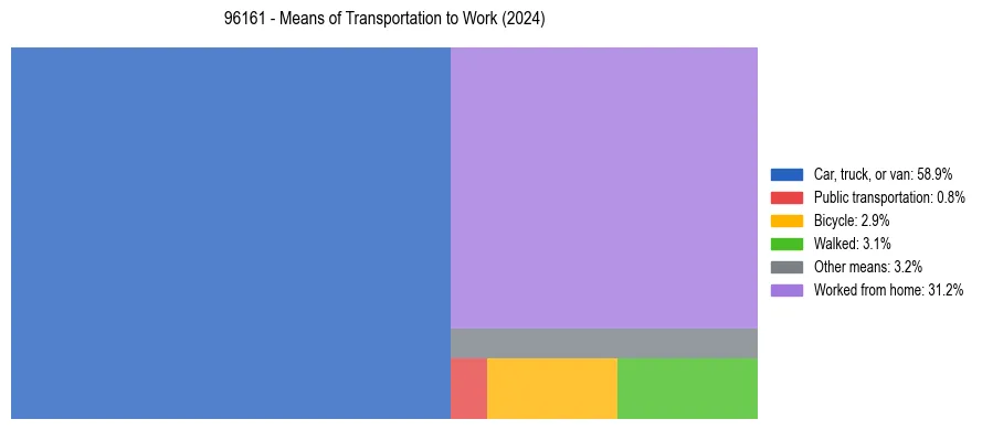Commute modes in US ZIP Code 96161