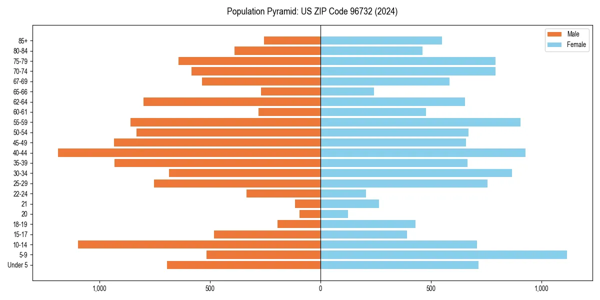 Population pyramid for 