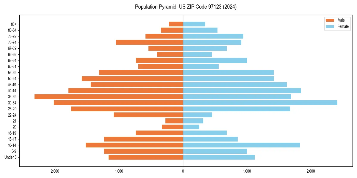 Population pyramid for 