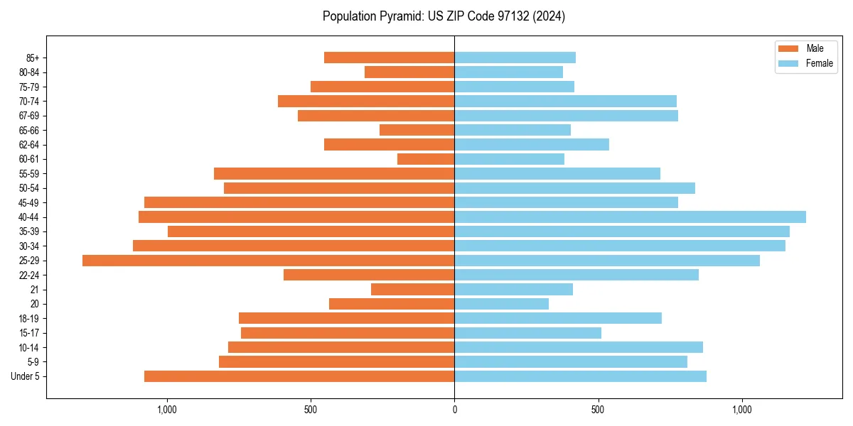 Population pyramid for 