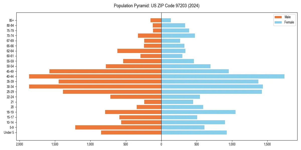 Population pyramid for 