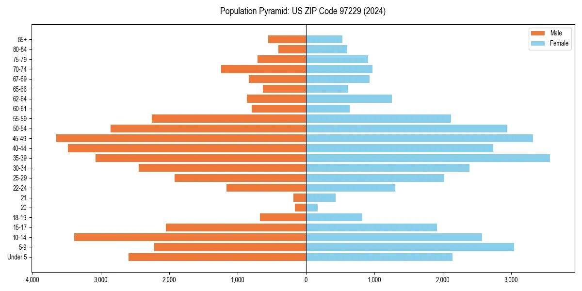 Population pyramid for 