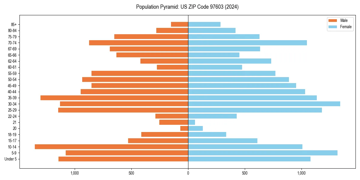 Population pyramid for 