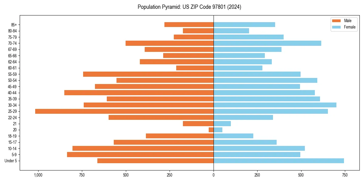 Population pyramid for 