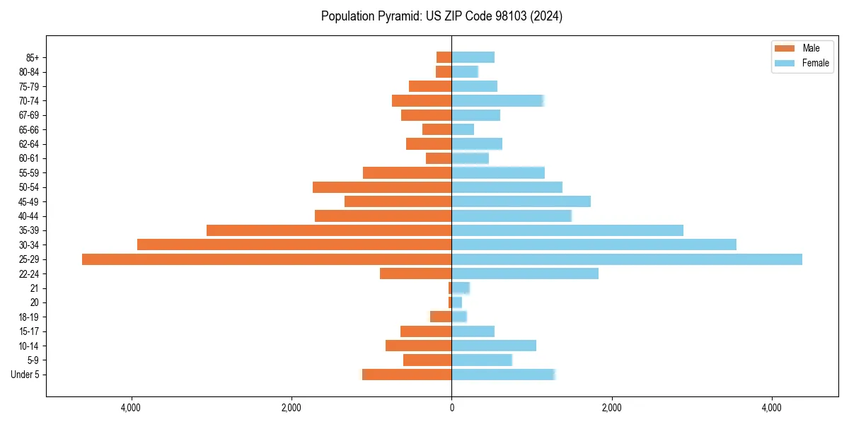 Population pyramid for 