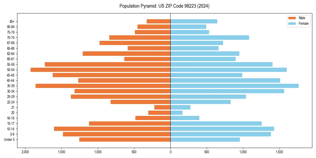 Population pyramid for 