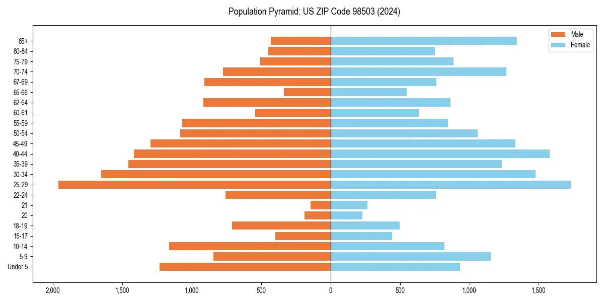 Population pyramid for 