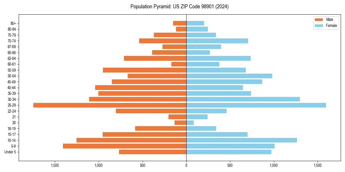 Population pyramid for 