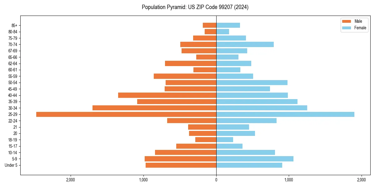 Population pyramid for 