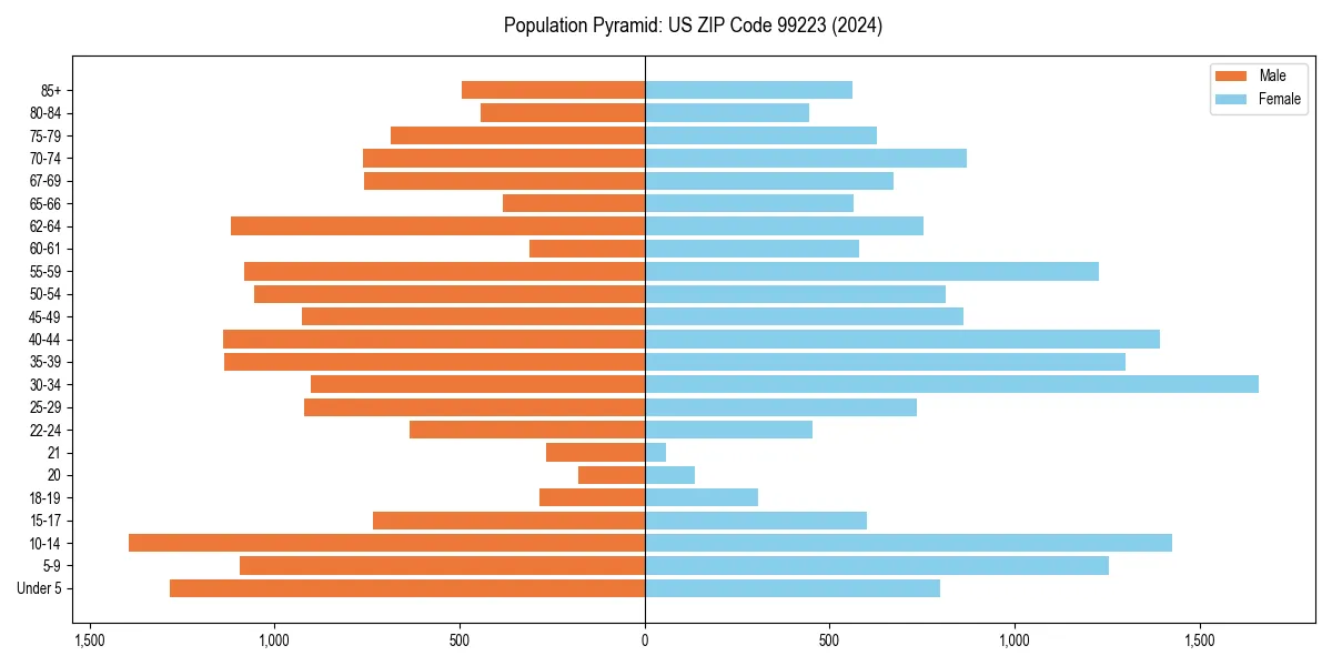 Population pyramid for 