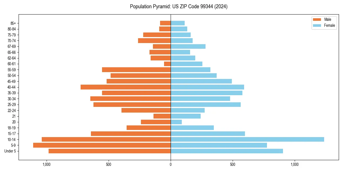 Population pyramid for 