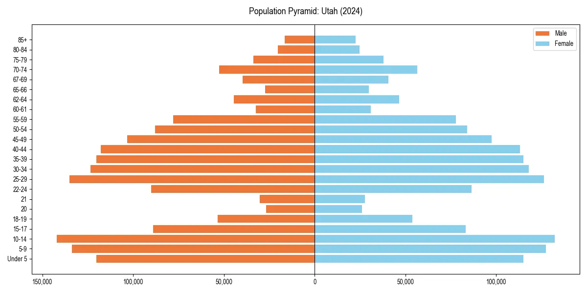 Population pyramid for 