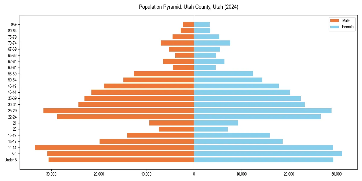 Population pyramid for 